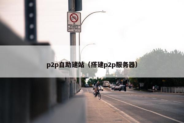 p2p自助建站（搭建p2p服务器）