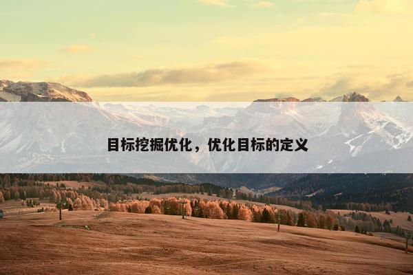 目标挖掘优化，优化目标的定义
