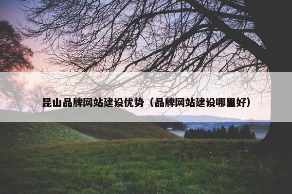 昆山品牌网站建设优势（品牌网站建设哪里好）