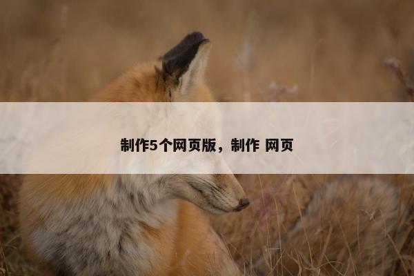 制作5个网页版，制作 网页
