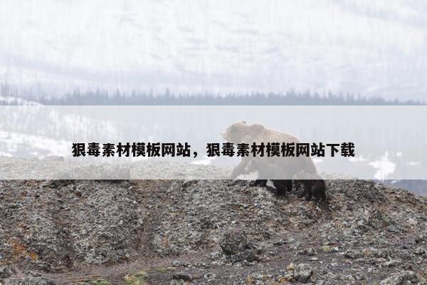 狠毒素材模板网站，狠毒素材模板网站下载