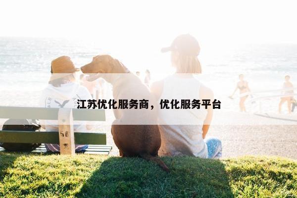 江苏优化服务商，优化服务平台