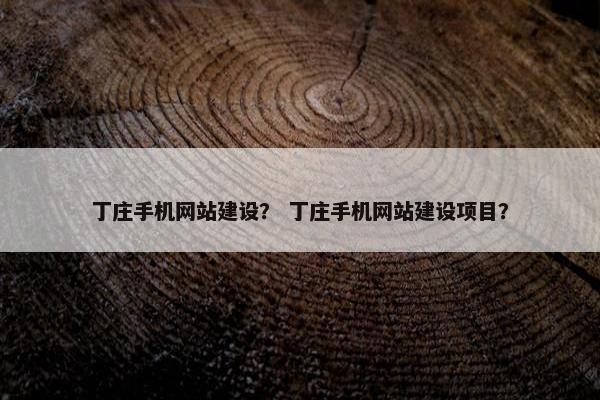 丁庄手机网站建设？ 丁庄手机网站建设项目？