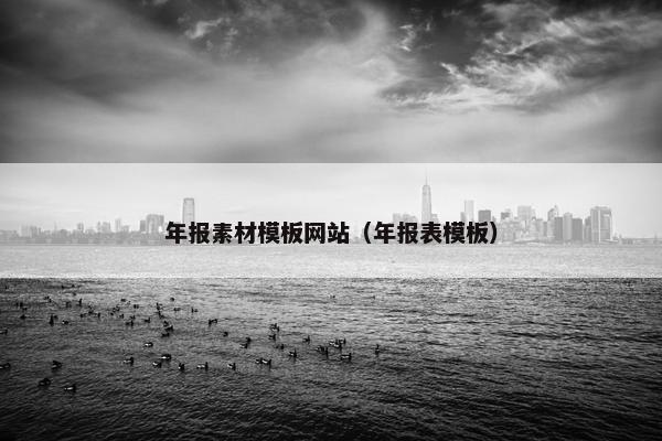年报素材模板网站（年报表模板）