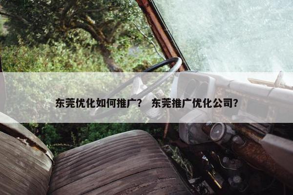 东莞优化如何推广？ 东莞推广优化公司？
