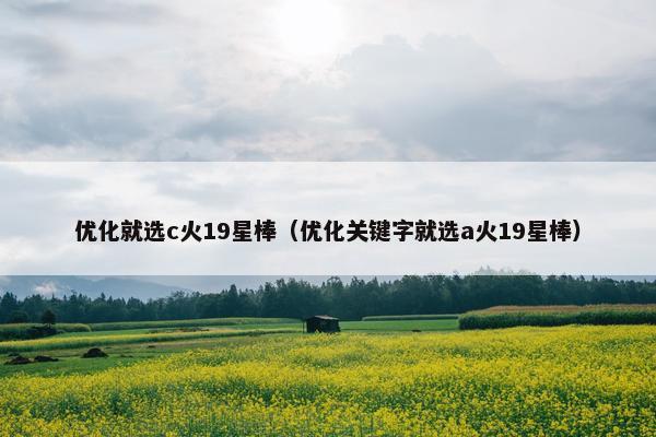 优化就选c火19星棒（优化关键字就选a火19星棒）
