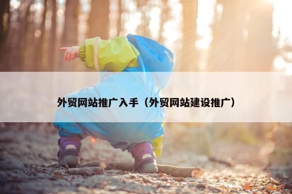 外贸网站推广入手（外贸网站建设推广）