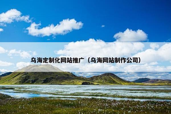 乌海定制化网站推广（乌海网站制作公司）