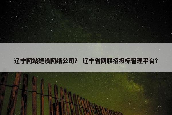 辽宁网站建设网络公司？ 辽宁省网联招投标管理平台？