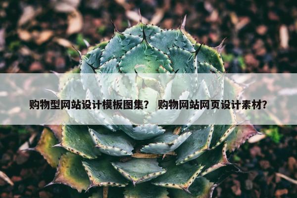 购物型网站设计模板图集？ 购物网站网页设计素材？