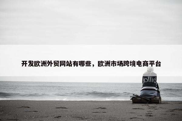 开发欧洲外贸网站有哪些，欧洲市场跨境电商平台