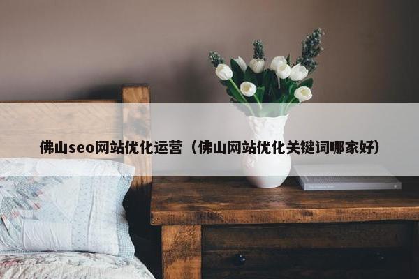 佛山seo网站优化运营（佛山网站优化关键词哪家好）