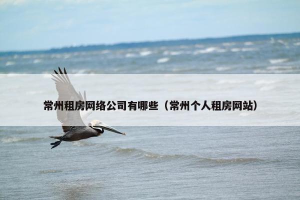 常州租房网络公司有哪些（常州个人租房网站）