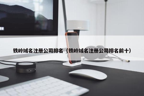 铁岭域名注册公司排名（铁岭域名注册公司排名前十）