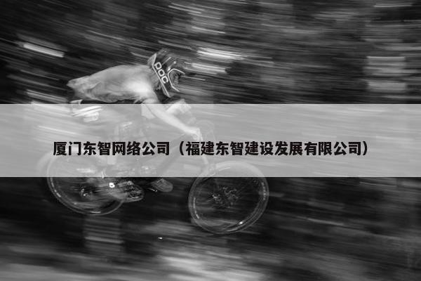 厦门东智网络公司（福建东智建设发展有限公司）