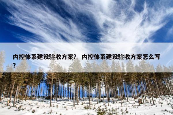 内控体系建设验收方案？ 内控体系建设验收方案怎么写？