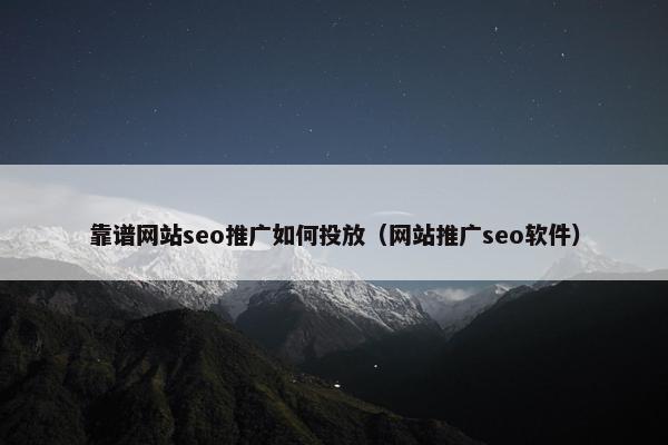 靠谱网站seo推广如何投放（网站推广seo软件）