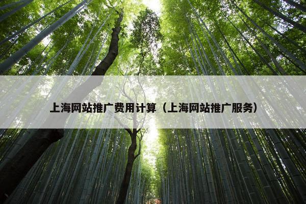 上海网站推广费用计算（上海网站推广服务）