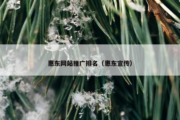 惠东网站推广排名（惠东宣传）