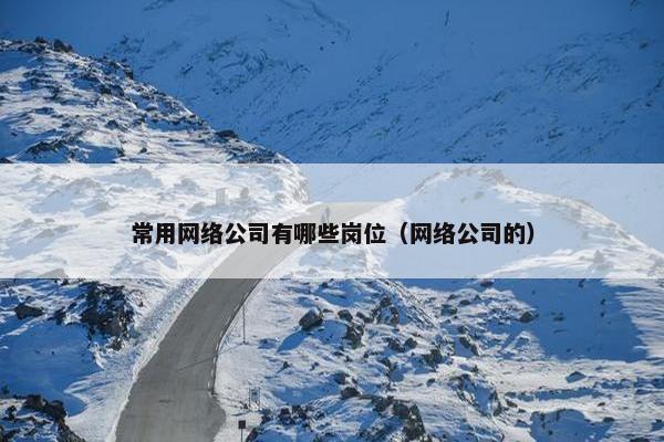 常用网络公司有哪些岗位（网络公司的）