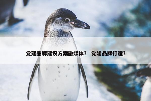 党建品牌建设方案融媒体？ 党建品牌打造？