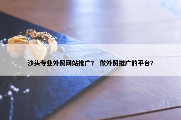 沙头专业外贸网站推广？ 做外贸推广的平台？
