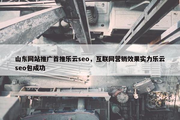 山东网站推广首推乐云seo，互联网营销效果实力乐云seo包成功