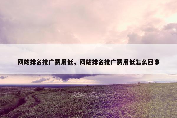 网站排名推广费用低，网站排名推广费用低怎么回事