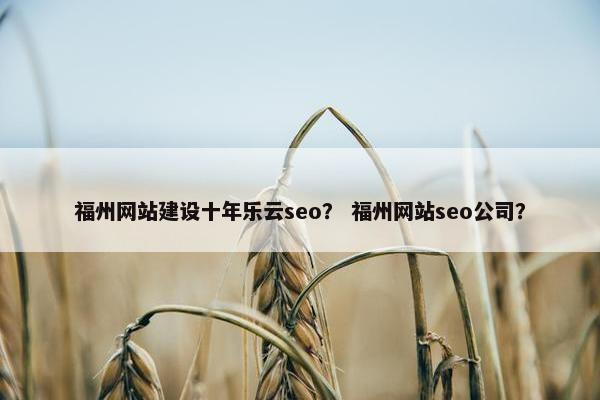 福州网站建设十年乐云seo？ 福州网站seo公司？