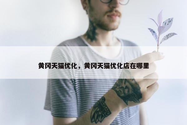 黄冈天猫优化，黄冈天猫优化店在哪里