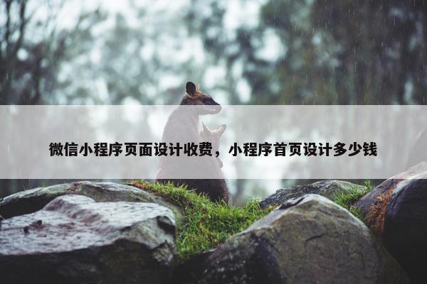 微信小程序页面设计收费，小程序首页设计多少钱