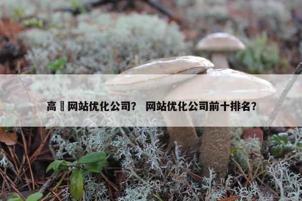 高埗网站优化公司？ 网站优化公司前十排名？