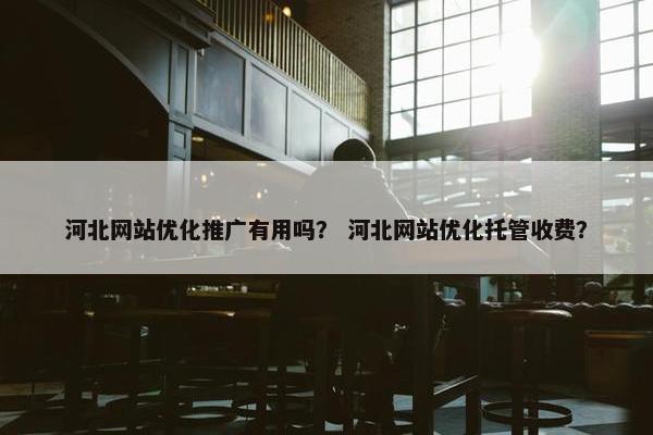 河北网站优化推广有用吗？ 河北网站优化托管收费？
