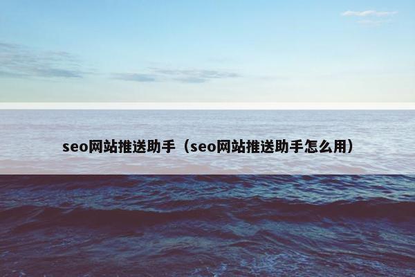 seo网站推送助手（seo网站推送助手怎么用）