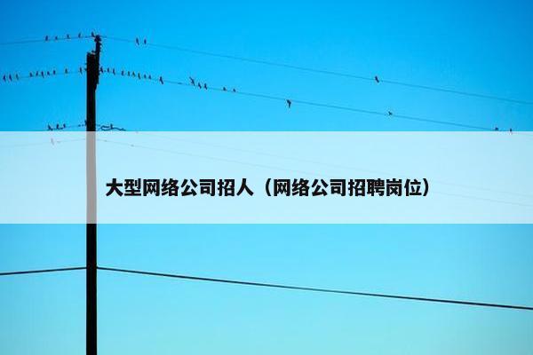 大型网络公司招人（网络公司招聘岗位）