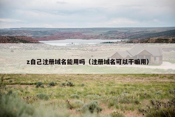 z自己注册域名能用吗（注册域名可以干嘛用）