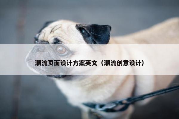 潮流页面设计方案英文（潮流创意设计）