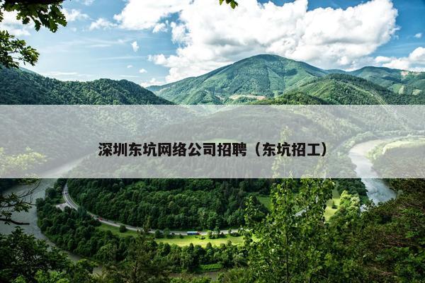 深圳东坑网络公司招聘（东坑招工）