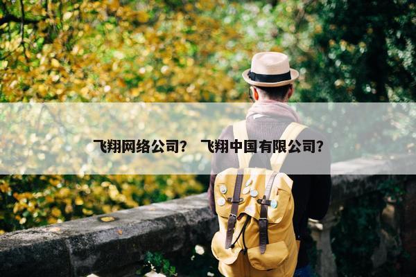 飞翔网络公司？ 飞翔中国有限公司？