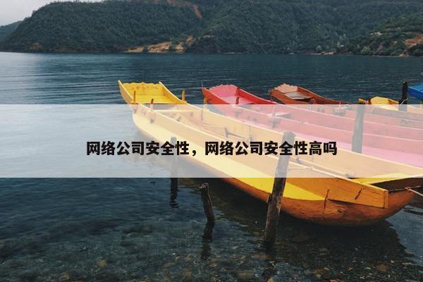 网络公司安全性，网络公司安全性高吗