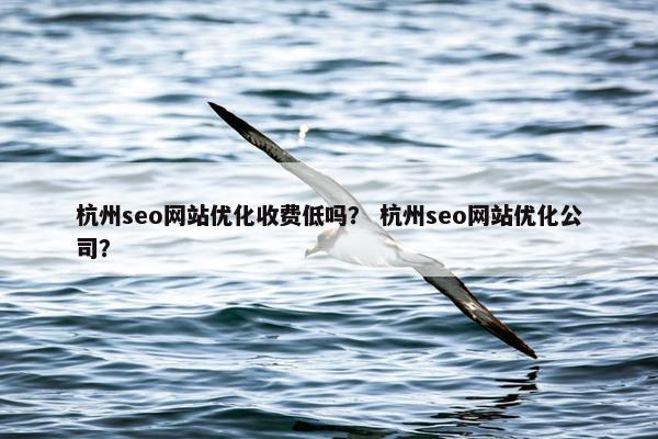 杭州seo网站优化收费低吗？ 杭州seo网站优化公司？