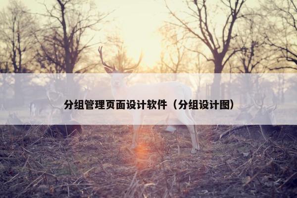 分组管理页面设计软件（分组设计图）