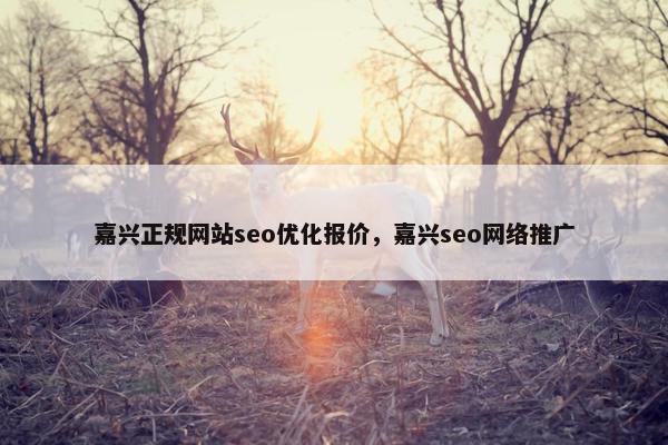 嘉兴正规网站seo优化报价，嘉兴seo网络推广