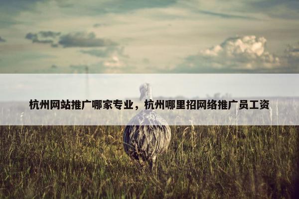 杭州网站推广哪家专业，杭州哪里招网络推广员工资