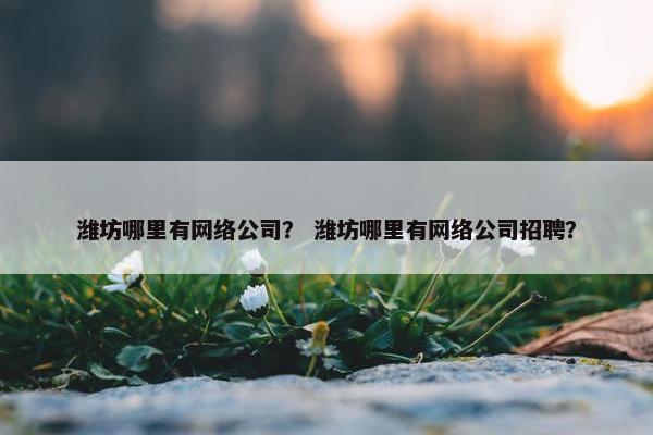 潍坊哪里有网络公司？ 潍坊哪里有网络公司招聘？