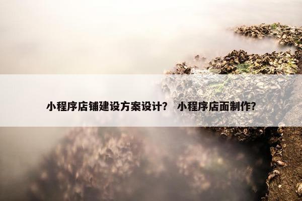 小程序店铺建设方案设计？ 小程序店面制作？
