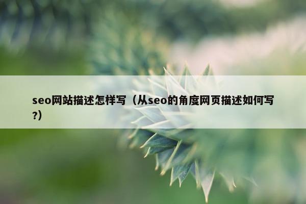 seo网站描述怎样写（从seo的角度网页描述如何写?）