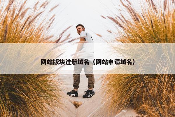 网站版块注册域名（网站申请域名）