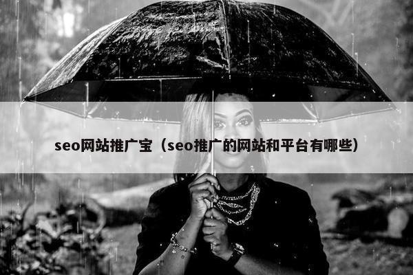 seo网站推广宝（seo推广的网站和平台有哪些）