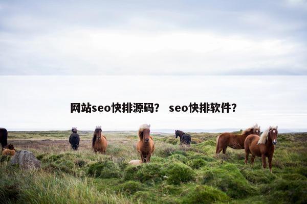 网站seo快排源码？ seo快排软件？